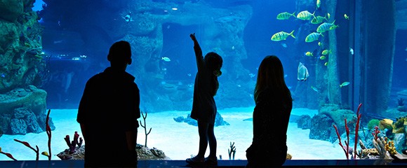 Family in aquarium